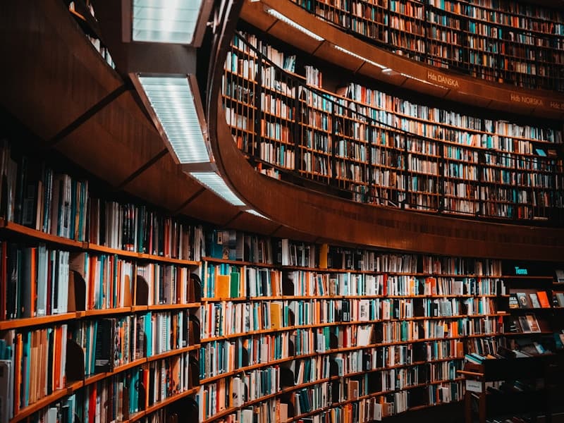 ספרי חשבונות ותיקיות - ייצוג פסילת ספרים ובעיות הנהלת חשבונות